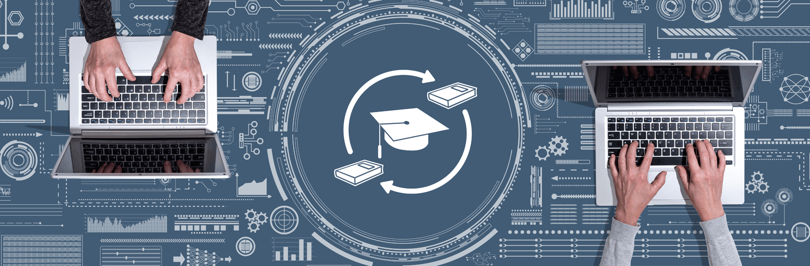 professionnalisation et des formations professionnalisantes